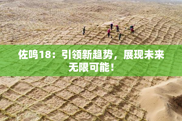 佐鸣18：引领新趋势，展现未来无限可能！