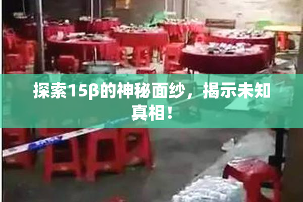 探索15β的神秘面纱，揭示未知真相！