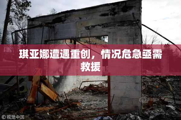 琪亚娜遭遇重创，情况危急亟需救援