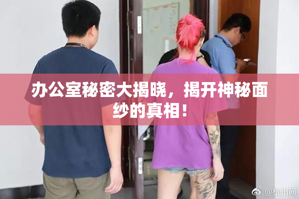 办公室秘密大揭晓，揭开神秘面纱的真相！