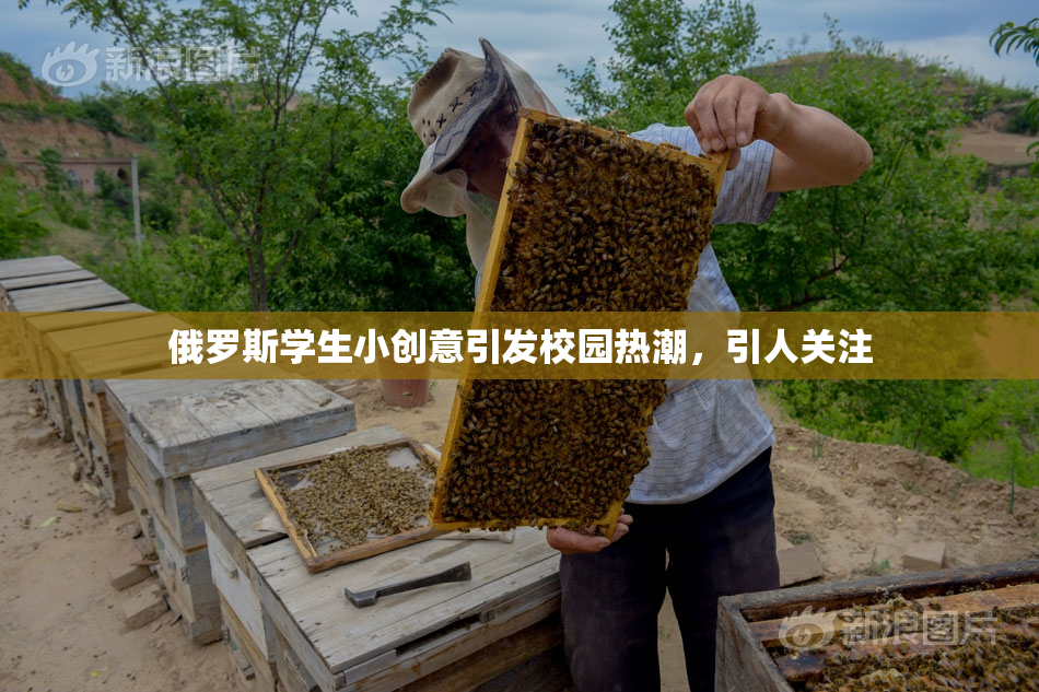 俄罗斯学生小创意引发校园热潮，引人关注