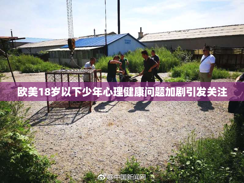 欧美18岁以下少年心理健康问题加剧引发关注