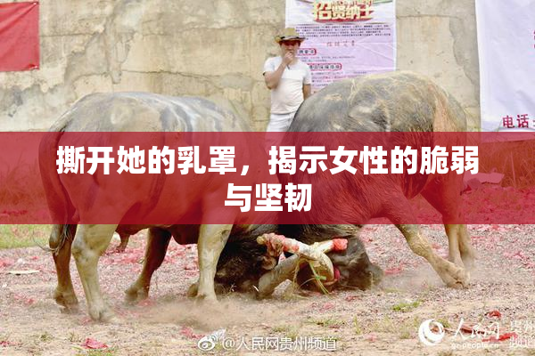 撕开她的乳罩，揭示女性的脆弱与坚韧
