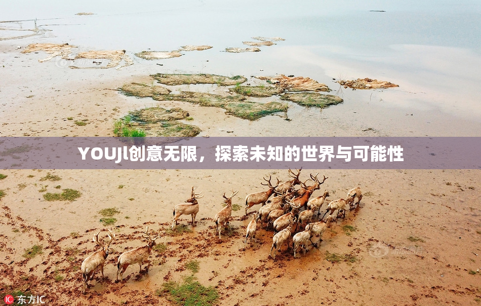 YOUJl创意无限，探索未知的世界与可能性