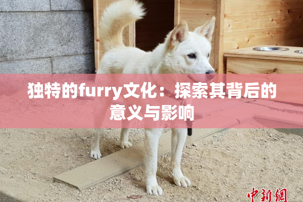 独特的furry文化：探索其背后的意义与影响