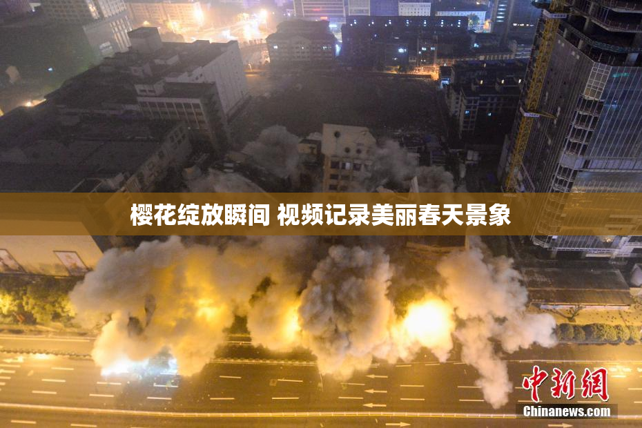 樱花绽放瞬间 视频记录美丽春天景象