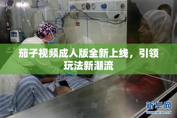 茄子视频成人版全新上线，引领玩法新潮流