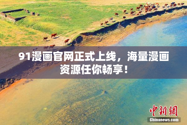 91漫画官网正式上线，海量漫画资源任你畅享！
