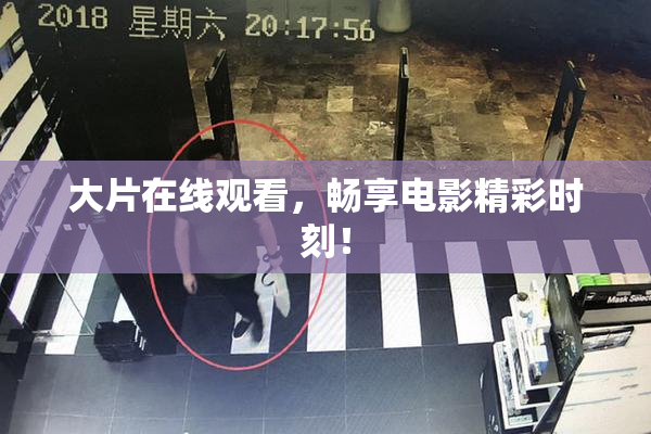 大片在线观看，畅享电影精彩时刻！