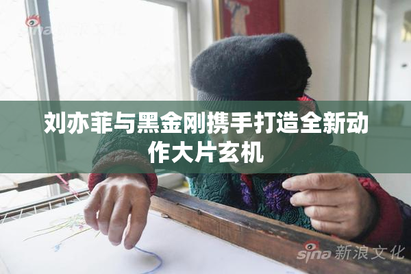 刘亦菲与黑金刚携手打造全新动作大片玄机