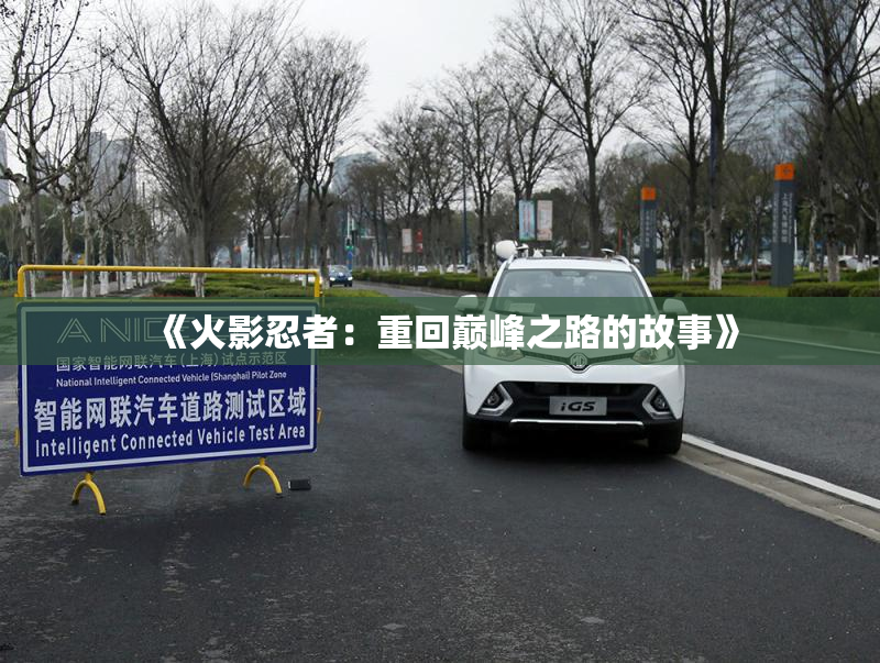 《火影忍者：重回巅峰之路的故事》