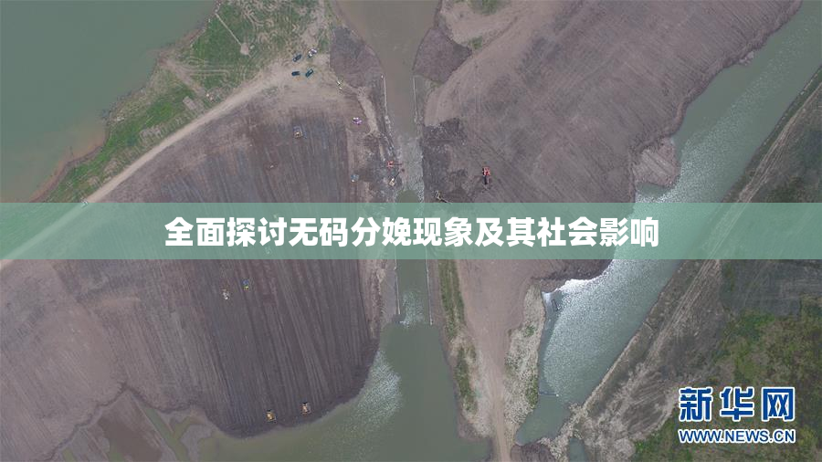 全面探讨无码分娩现象及其社会影响