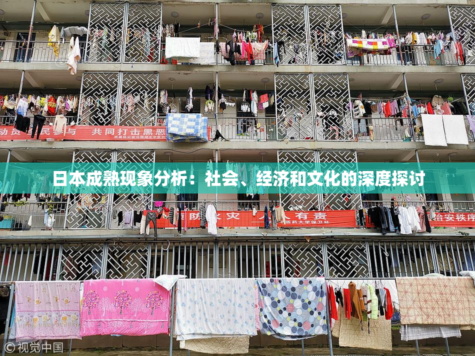 日本成熟现象分析：社会、经济和文化的深度探讨