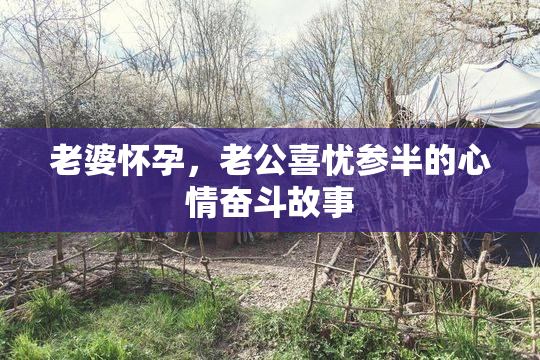 老婆怀孕，老公喜忧参半的心情奋斗故事