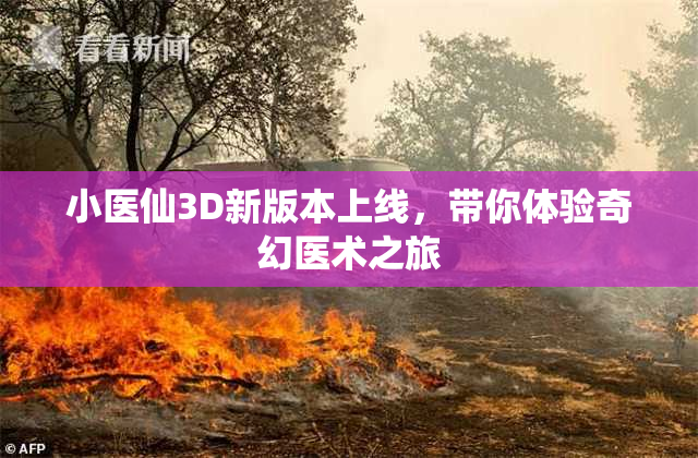 小医仙3D新版本上线，带你体验奇幻医术之旅