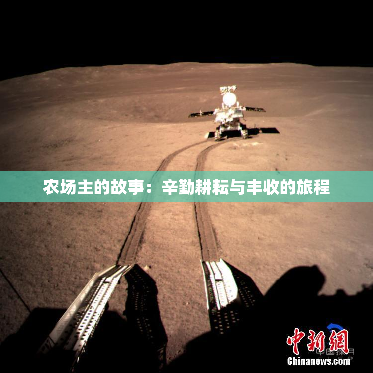 农场主的故事：辛勤耕耘与丰收的旅程