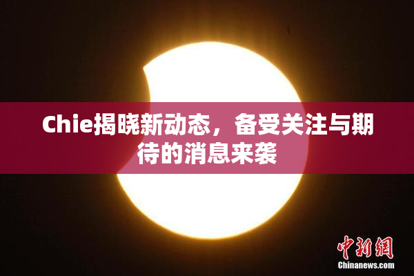 Chie揭晓新动态，备受关注与期待的消息来袭