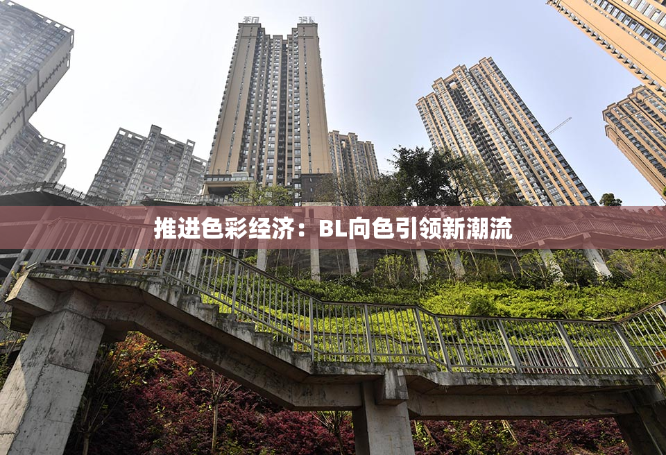 推进色彩经济：BL向色引领新潮流