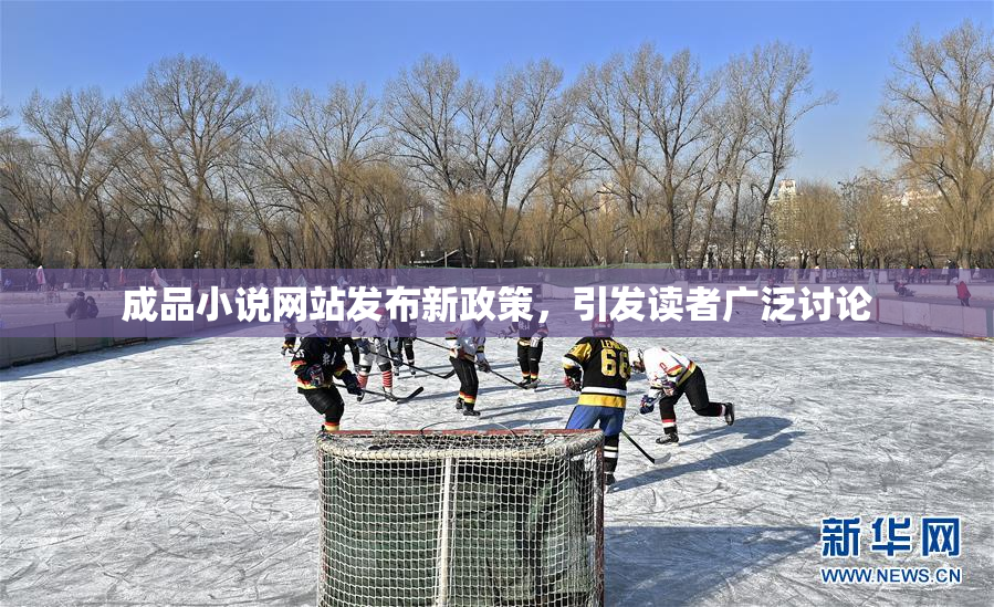 成品小说网站发布新政策，引发读者广泛讨论