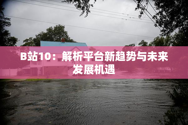 B站10：解析平台新趋势与未来发展机遇