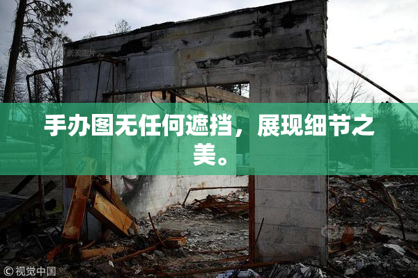 手办图无任何遮挡，展现细节之美。