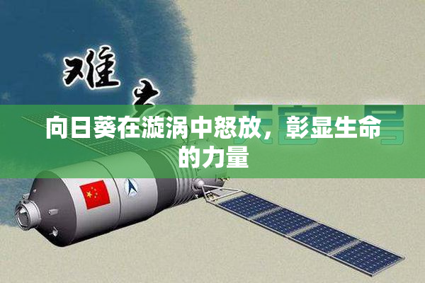 向日葵在漩涡中怒放，彰显生命的力量