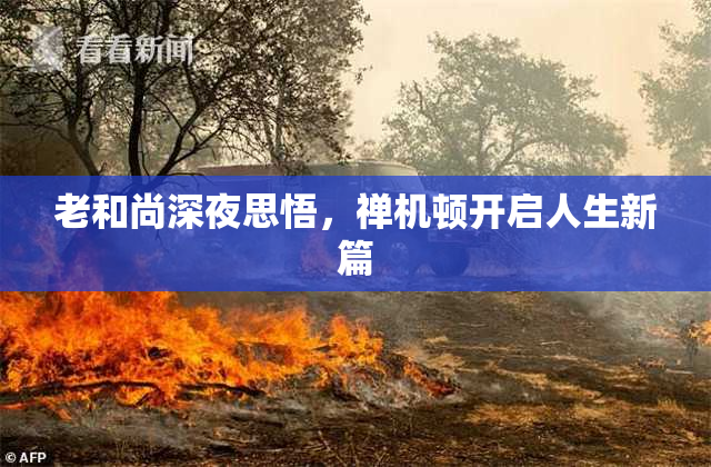 老和尚深夜思悟，禅机顿开启人生新篇
