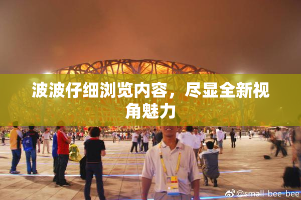 波波仔细浏览内容，尽显全新视角魅力