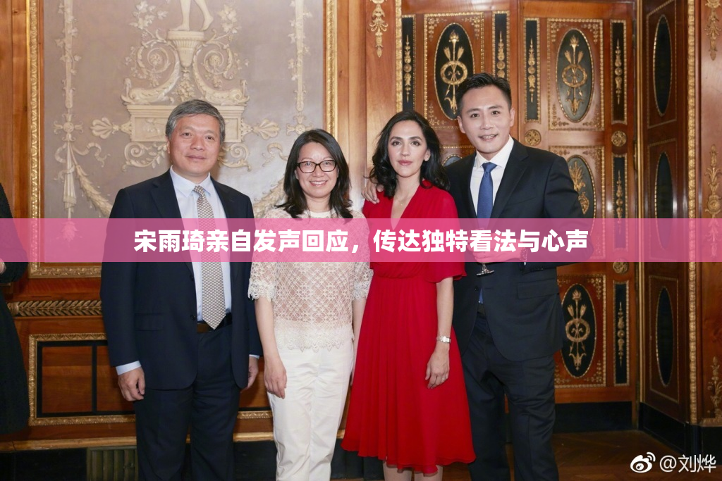 宋雨琦亲自发声回应，传达独特看法与心声