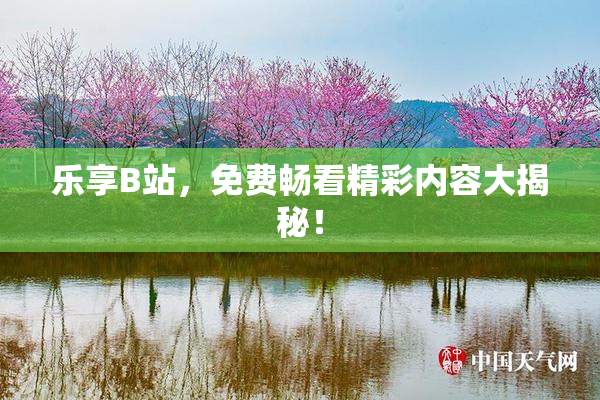 乐享B站，免费畅看精彩内容大揭秘！