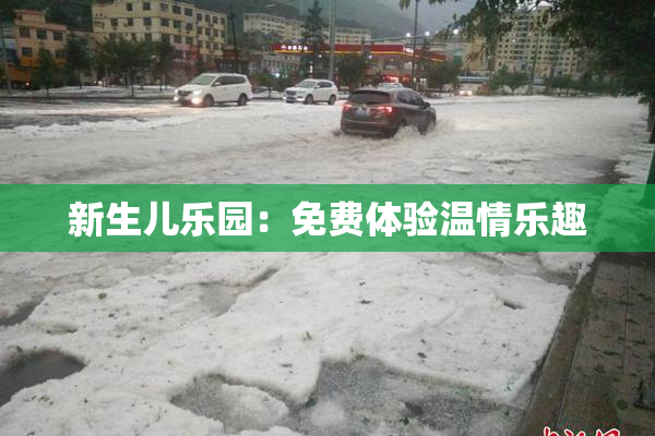 新生儿乐园：免费体验温情乐趣
