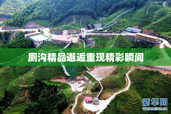 厕沟精品邂逅重现精彩瞬间