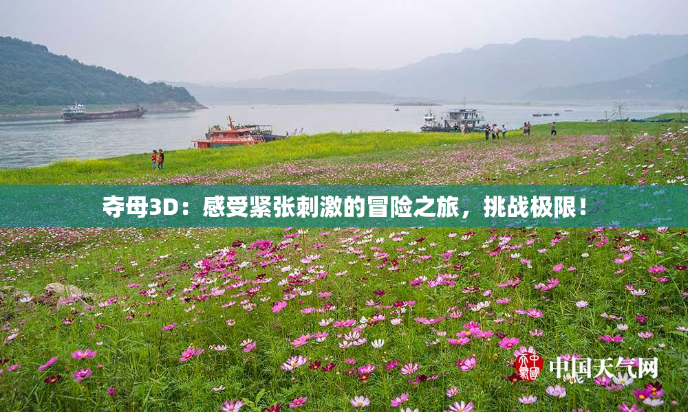 夺母3D：感受紧张刺激的冒险之旅，挑战极限！