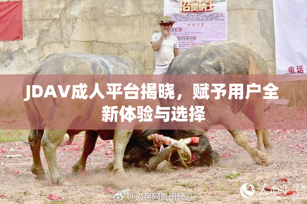 JDAV成人平台揭晓，赋予用户全新体验与选择