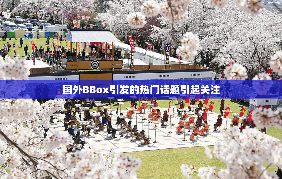国外BBox引发的热门话题引起关注