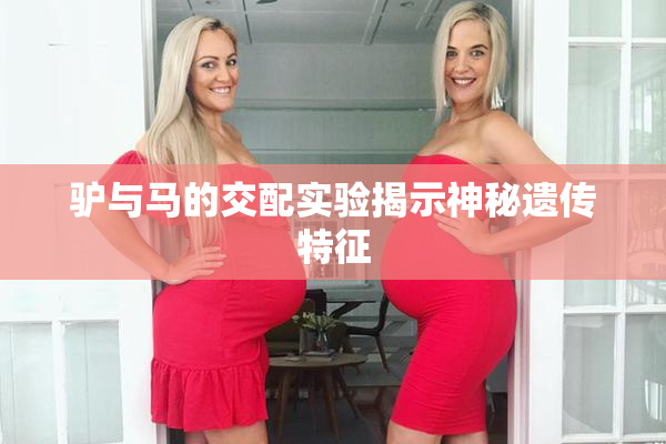 驴与马的交配实验揭示神秘遗传特征