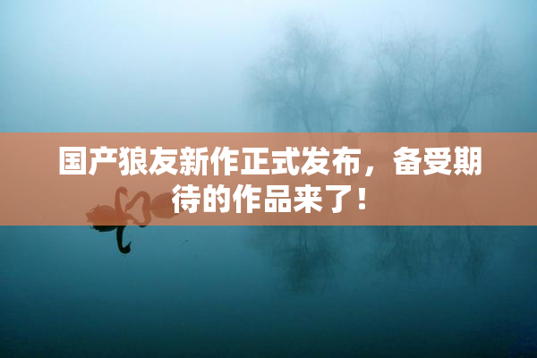 国产狼友新作正式发布，备受期待的作品来了！