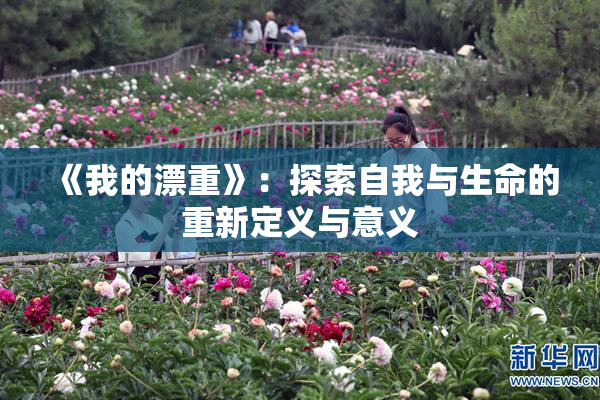 《我的漂重》：探索自我与生命的重新定义与意义