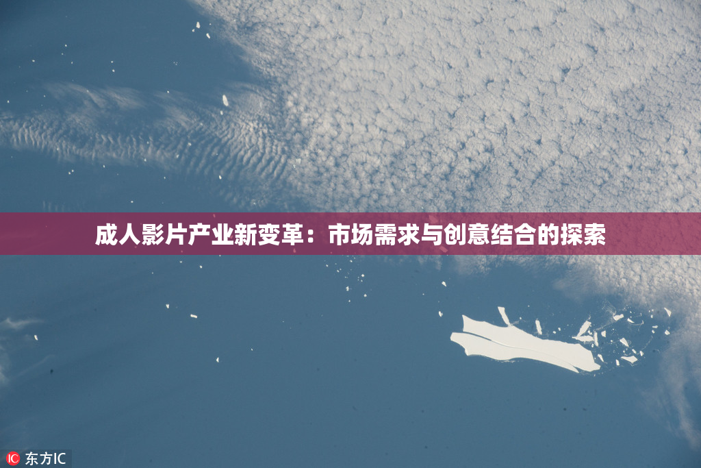 成人影片产业新变革：市场需求与创意结合的探索