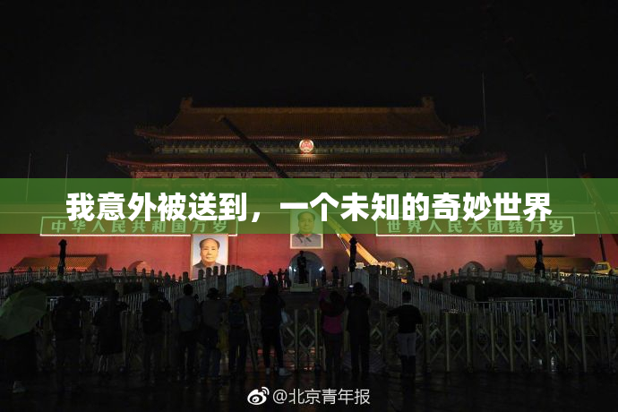 我意外被送到，一个未知的奇妙世界