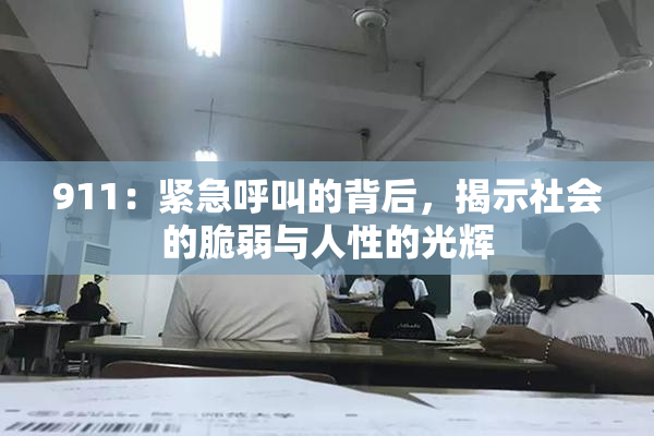 911：紧急呼叫的背后，揭示社会的脆弱与人性的光辉