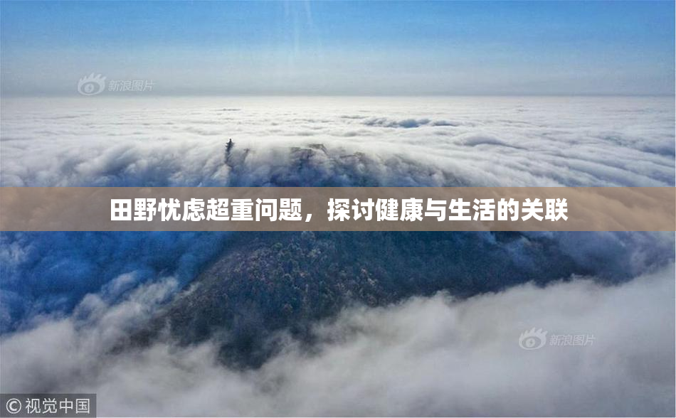 田野忧虑超重问题，探讨健康与生活的关联