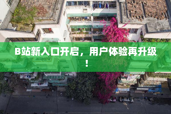 B站新入口开启，用户体验再升级！