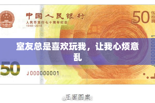 室友总是喜欢玩我，让我心烦意乱