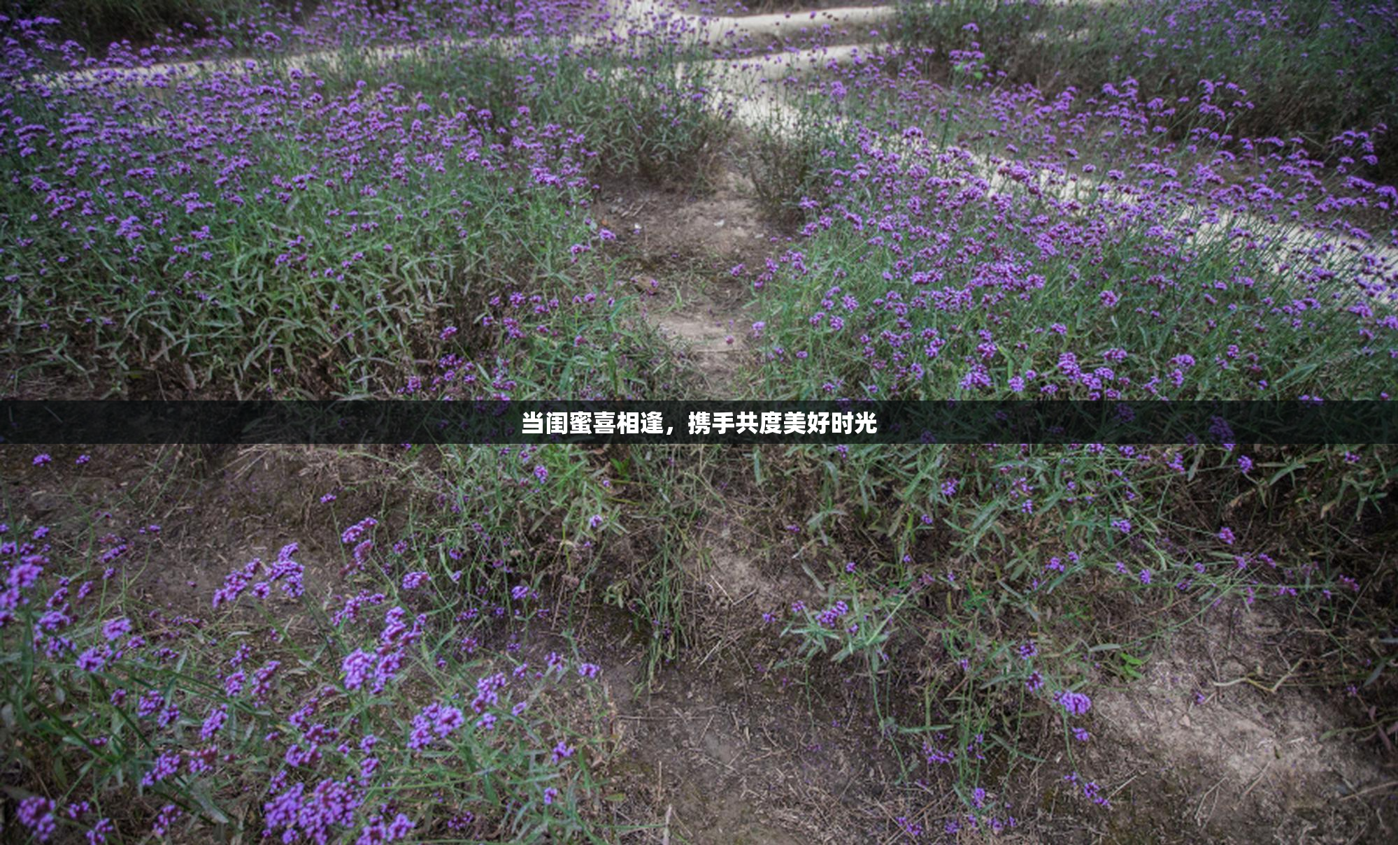 当闺蜜喜相逢，携手共度美好时光