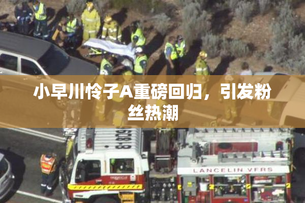小早川怜子A重磅回归，引发粉丝热潮