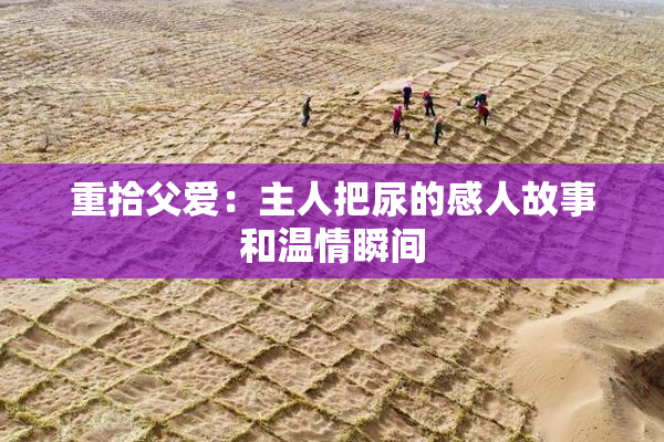 重拾父爱：主人把尿的感人故事和温情瞬间