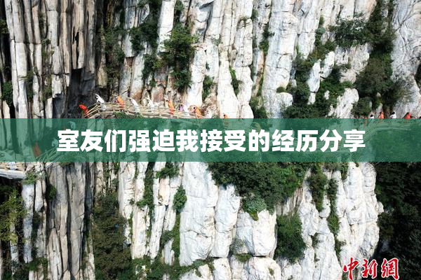室友们强迫我接受的经历分享