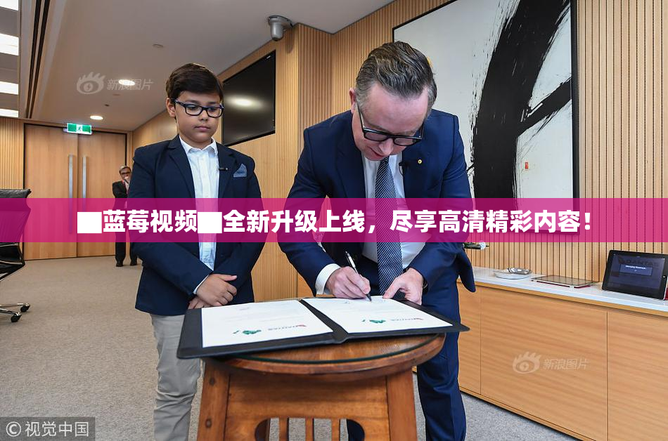 ▇蓝莓视频▇全新升级上线，尽享高清精彩内容！