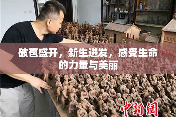 破苞盛开，新生迸发，感受生命的力量与美丽